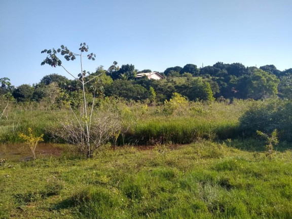 Imagem Imóvel à Venda, 874 m² em Palmeiras - Guaraparia Imagem Imóvel à Venda, 874 m² em Palmeiras - Guaraparia