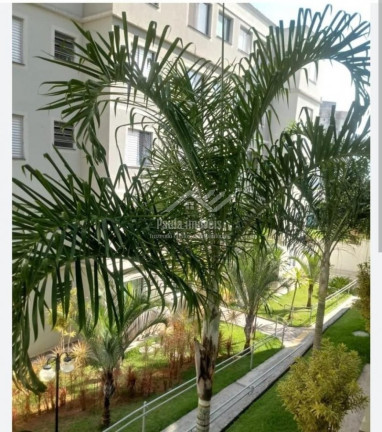 Imagem Apartamento com 2 Quartos à Venda, 45 m² em Parque Residencial Flamboyant - Sao Jose Dos Campos