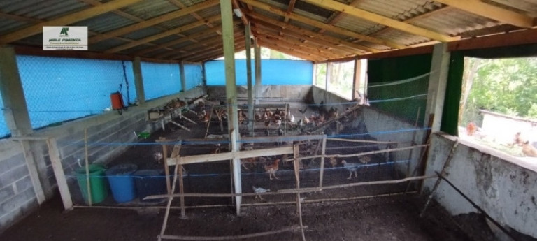 Imagem Fazenda à Venda, 5.000 m² em Alto Da Serra - São Roque