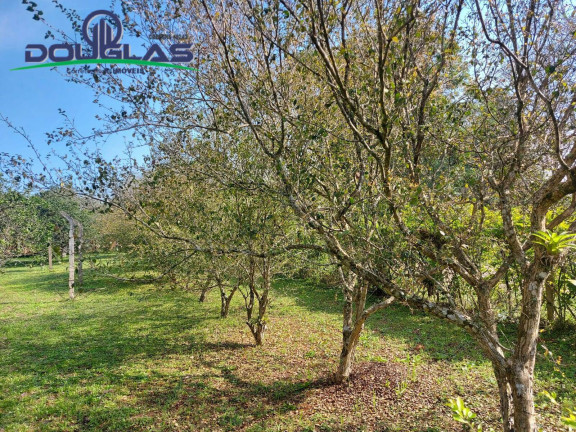 Imagem Terreno à Venda, 595 m² em águas Claras - Viamão