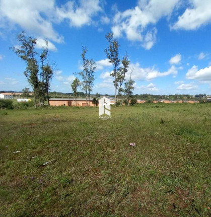 Imagem Terreno à Venda, 4.800 m² em Tomazetti - Santa Maria