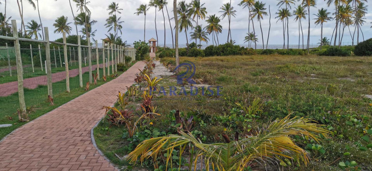 Imagem Casa com 5 Quartos à Venda, 480 m² em Praia Do Forte - Mata De São João Imagem Casa com 5 Quartos à Venda, 480 m² em Praia Do Forte - Mata De São João