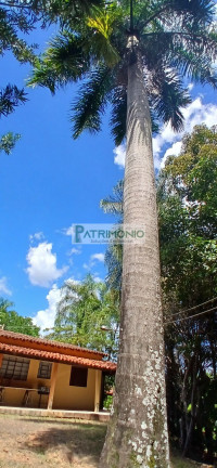 Imagem Imóvel com 2 Quartos à Venda, 120 m² em Centro - Pedreira Imagem Imóvel com 2 Quartos à Venda, 120 m² em Centro - Pedreira