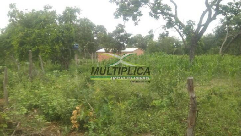 Fazenda à Venda, 445 m² em Bonito De Minas