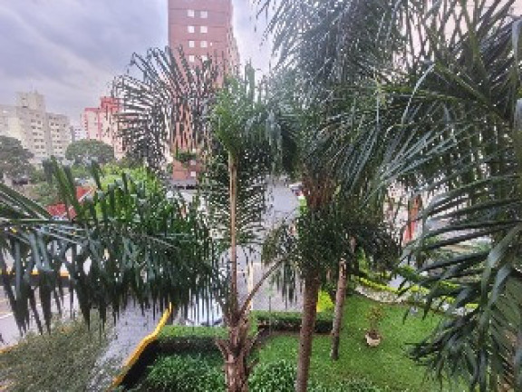 Imagem Apartamento com 3 Quartos à Venda, 64 m² em Jardim Celeste - São Paulo