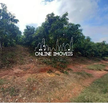 Imagem Chácara à Venda, 4 m² em Mogi Guaçu