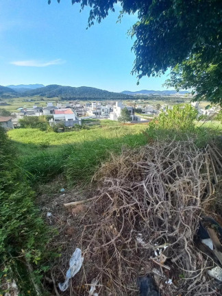 Imagem Terreno à Venda, 528 m² em Pedra Branca - Palhoça Imagem Terreno à Venda, 528 m² em Pedra Branca - Palhoça
