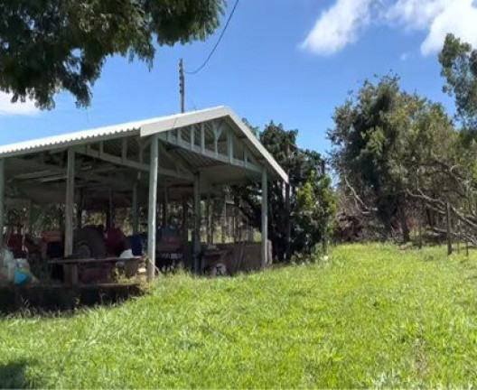 Imagem Imóvel à Venda, 8.000 m² em área Rural De Bauru - Bauru