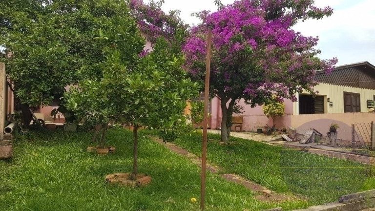 Imagem Casa com 2 Quartos à Venda, 70 m² em Jansen - Gravataí Imagem Casa com 2 Quartos à Venda, 70 m² em Jansen - Gravataí