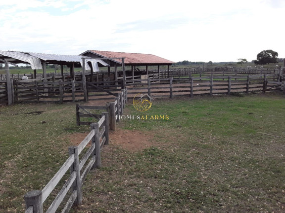 Imagem Imóvel com 3 Quartos à Venda, 88.000 m² em Zona Rural - Poconé Imagem Imóvel com 3 Quartos à Venda, 88.000 m² em Zona Rural - Poconé