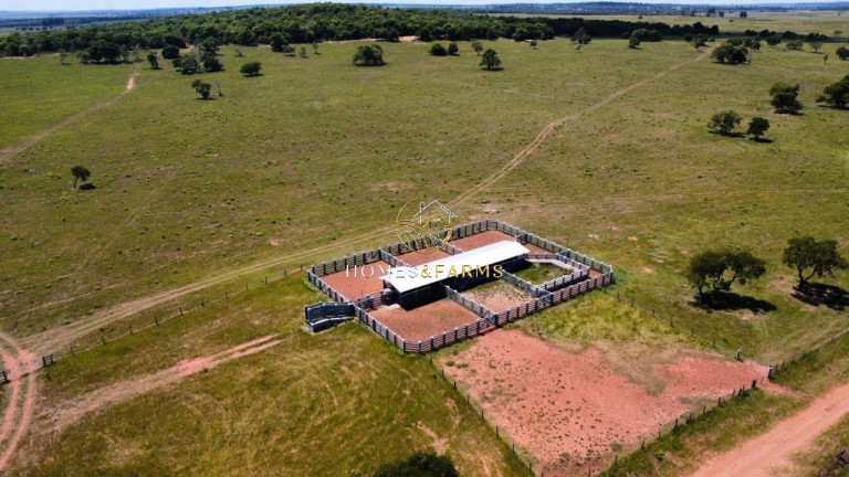 Imagem Imóvel com 3 Quartos à Venda, 1.219 m² em Zona Rural - Amambaí