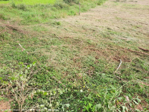 Chácara à Venda, 3.600 m² em Pocinhos Do Rio Verde - Caldas