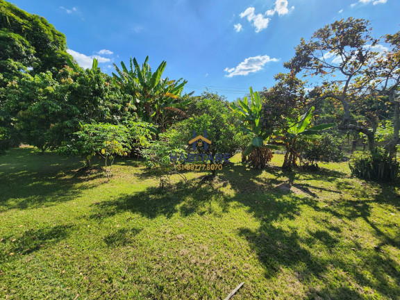 Imagem Terreno à Venda, 1.200 m² em Quintas Da Jangada - Sarzedo Imagem Terreno à Venda, 1.200 m² em Quintas Da Jangada - Sarzedo