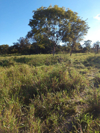 Imagem Fazenda à Venda, 237 m² em Zona Rural - Faina Imagem Fazenda à Venda, 237 m² em Zona Rural - Faina