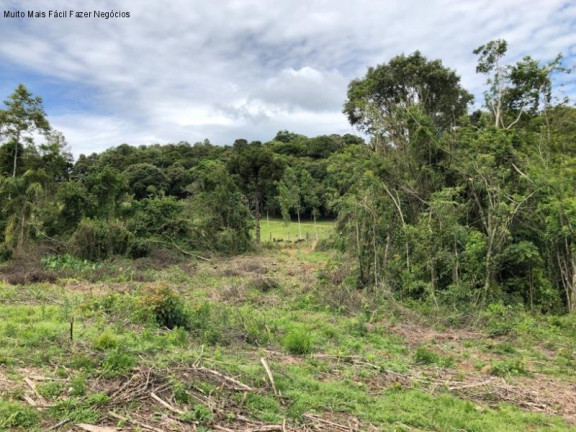 Imagem Terreno à Venda, 5 m² em Nove Colônias - Nova Petrópolis