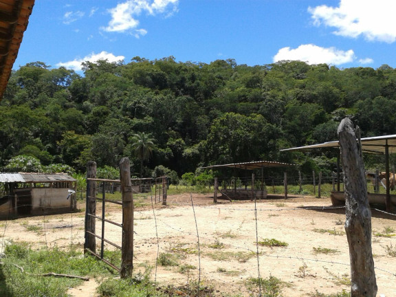Imagem Imóvel com 3 Quartos à Venda, 1.000 m² em Zona Rural - Baldim