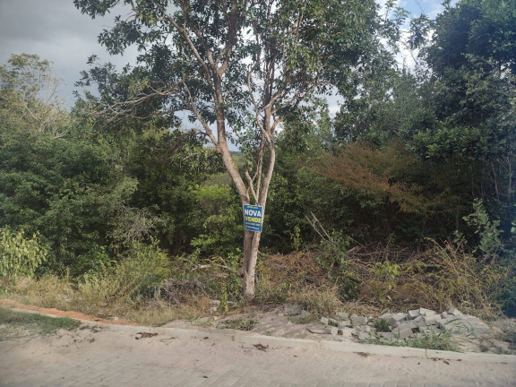Imagem Terreno à Venda, 1.500 m² em Imediações Do Anel Viário De Pipa - Tibau Do Sul Imagem Terreno à Venda, 1.500 m² em Imediações Do Anel Viário De Pipa - Tibau Do Sul