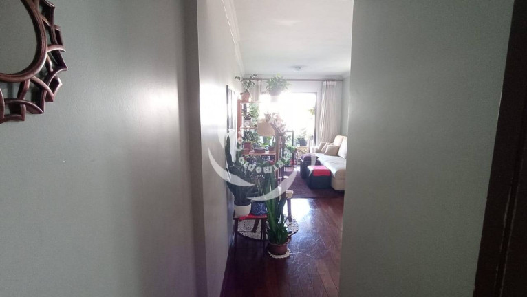 Imagem Apartamento com 3 Quartos à Venda, 79 m² em Vila Firmiano Pinto - São Paulo Imagem Apartamento com 3 Quartos à Venda, 79 m² em Vila Firmiano Pinto - São Paulo
