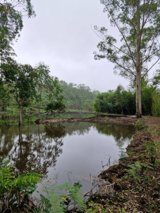 Chácara com 2 Quartos à Venda, 36.500 m² em Rio Bonito - Tapiraí