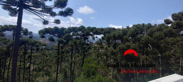 Imagem Casa com 3 Quartos à Venda, 1.092 m² em Vila Natal - Campos Do Jordão Imagem Casa com 3 Quartos à Venda, 1.092 m² em Vila Natal - Campos Do Jordão
