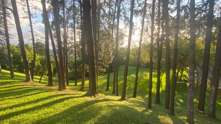 Imagem Imóvel com 3 Quartos à Venda,  em Granja Viana Ii - Cotia
