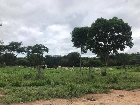 Imagem Fazenda à Venda, 145 m² em Montes Claros Imagem Fazenda à Venda, 145 m² em Montes Claros