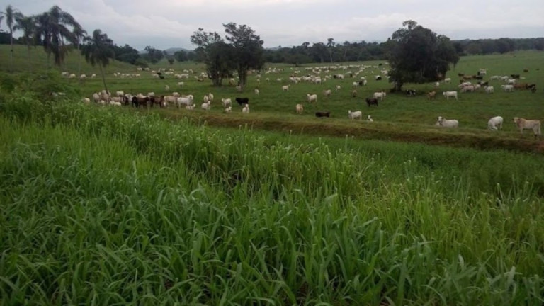Fazenda à Venda, 120 m² em Centro - Sete Barras