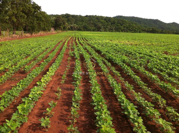 Imóvel com 3 Quartos à Venda, 3.700 m² em Centro - Nobres