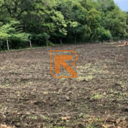 Imagem Fazenda à Venda, 1.030.000 m² em Distrito Jk - Formosa Imagem Fazenda à Venda, 1.030.000 m² em Distrito Jk - Formosa