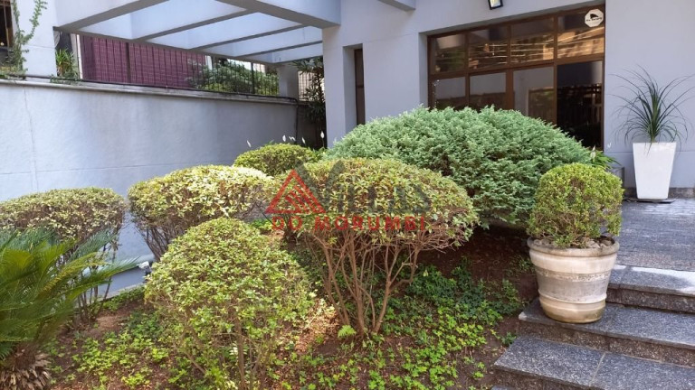 Imagem Apartamento com 1 Quarto à Venda, 35 m² em Vila Suzana - São Paulo