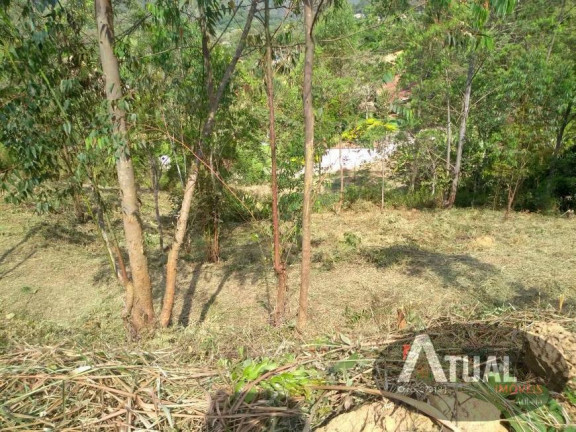 Imagem Terreno à Venda, 1 m² em Terra Preta - Mairiporã Imagem Terreno à Venda, 1 m² em Terra Preta - Mairiporã