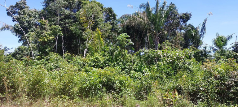 Imagem Chácara à Venda, 1.500 m² em Centro - Iranduba Imagem Chácara à Venda, 1.500 m² em Centro - Iranduba