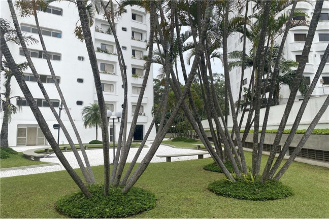 Imagem Apartamento com 4 Quartos à Venda, 200 m² em Vila Suzana - São Paulo Imagem Apartamento com 4 Quartos à Venda, 200 m² em Vila Suzana - São Paulo
