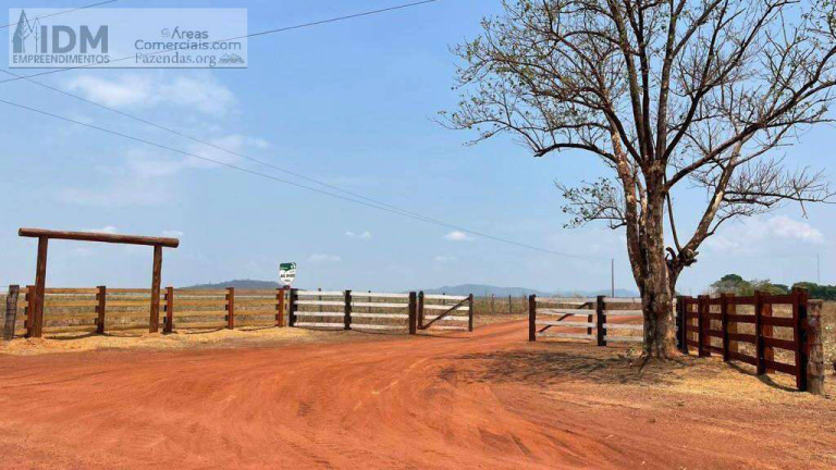 Imagem Chácara com 5 Quartos à Venda, 4.236 m² em Santa Terezinha