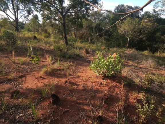 Imagem Terreno para Alugar ou Temporada, 5.000 m² em Sitio Primavera - Jarinu Imagem Terreno para Alugar ou Temporada, 5.000 m² em Sitio Primavera - Jarinu