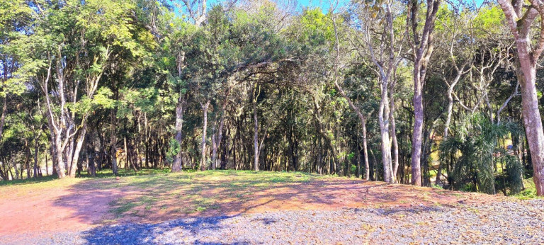 Imagem Imóvel à Venda, 20.000 m² em Botiatuva - Campo Largo Imagem Imóvel à Venda, 20.000 m² em Botiatuva - Campo Largo