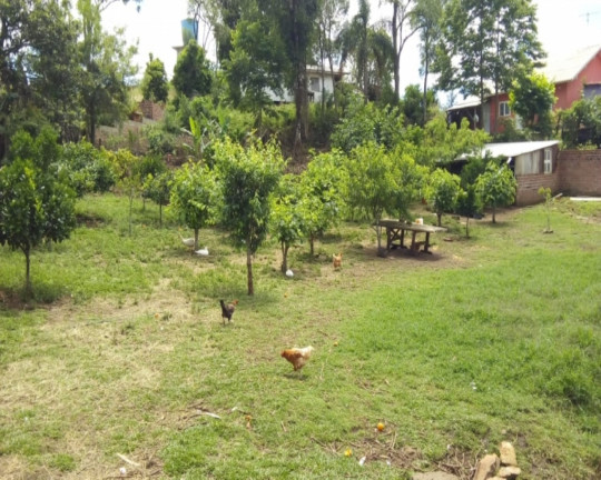 Imagem Imóvel com 1 Quarto à Venda, 7.500 m² em Linha Imperial - Nova Petrópolis