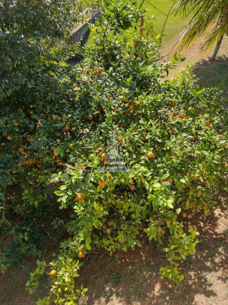 Imagem Chácara com 3 Quartos à Venda,  em Jardim Monte Verde - Itatiba