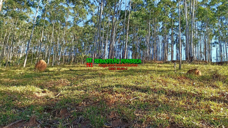 Chácara à Venda, 2 m² em Centro - Paraibuna