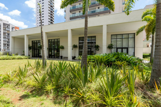 Imagem Apartamento com 3 Quartos à Venda, 163 m² em Vila Mascote - São Paulo Imagem Apartamento com 3 Quartos à Venda, 163 m² em Vila Mascote - São Paulo