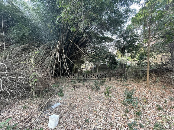 Imagem Chácara à Venda, 33.300 m² em Gameleira - Florestal