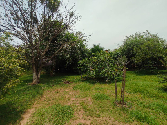 Imagem Chácara com 3 Quartos à Venda, 5.000 m² em Margens Da Raposo Tvares - Alambari Imagem Chácara com 3 Quartos à Venda, 5.000 m² em Margens Da Raposo Tvares - Alambari