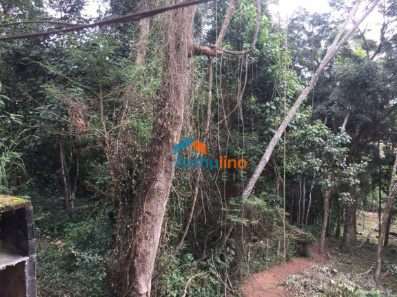 Imagem Terreno à Venda, 2.765 m² em Chácara Represinha - Cotia Imagem Terreno à Venda, 2.765 m² em Chácara Represinha - Cotia