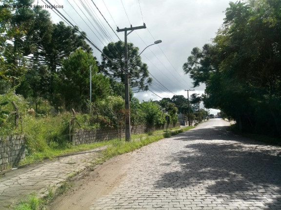 Imagem Terreno à Venda, 1.051 m² em Vila Germânia - Nova Petrópolis Imagem Terreno à Venda, 1.051 m² em Vila Germânia - Nova Petrópolis