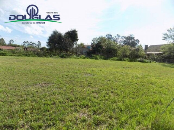 Imagem Terreno à Venda, 1.600 m² em Viamão