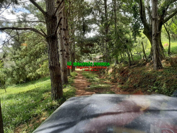 Imagem Chácara à Venda, 24 m² em Centro - São Luíz Do Paraitinga Imagem Chácara à Venda, 24 m² em Centro - São Luíz Do Paraitinga