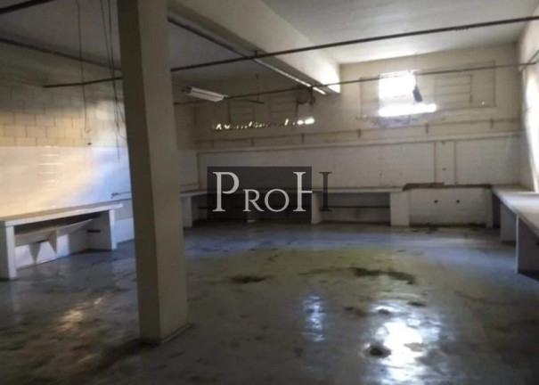 Imagem Imóvel Comercial para Alugar, 1.600 m² em Santo Antônio - São Caetano Do Sul Imagem Imóvel Comercial para Alugar, 1.600 m² em Santo Antônio - São Caetano Do Sul