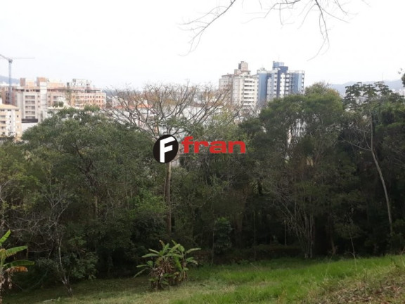 Imagem Imóvel à Venda, 44.952 m² em Córrego Grande - Florianópolis Imagem Imóvel à Venda, 44.952 m² em Córrego Grande - Florianópolis