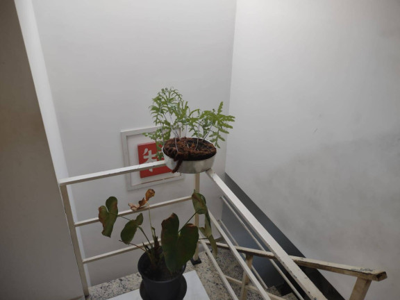 Imagem Casa com 3 Quartos à Venda, 110 m² em Jardim Independência - São Paulo Imagem Casa com 3 Quartos à Venda, 110 m² em Jardim Independência - São Paulo
