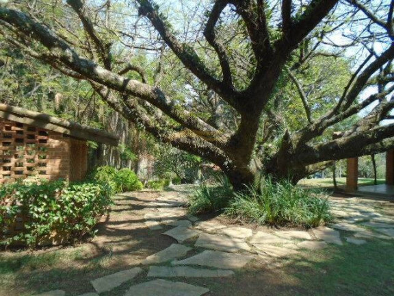 Imagem Chácara com 8 Quartos à Venda, 5.000 m² em Chácaras Do Guacuri - Itupeva Imagem Chácara com 8 Quartos à Venda, 5.000 m² em Chácaras Do Guacuri - Itupeva